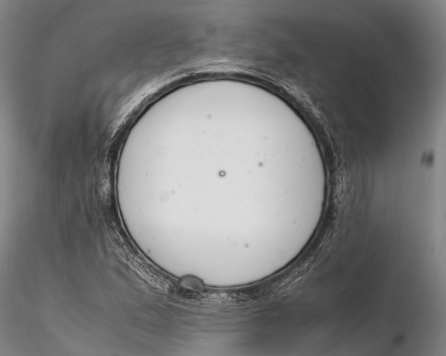 X0000116141167200912141126