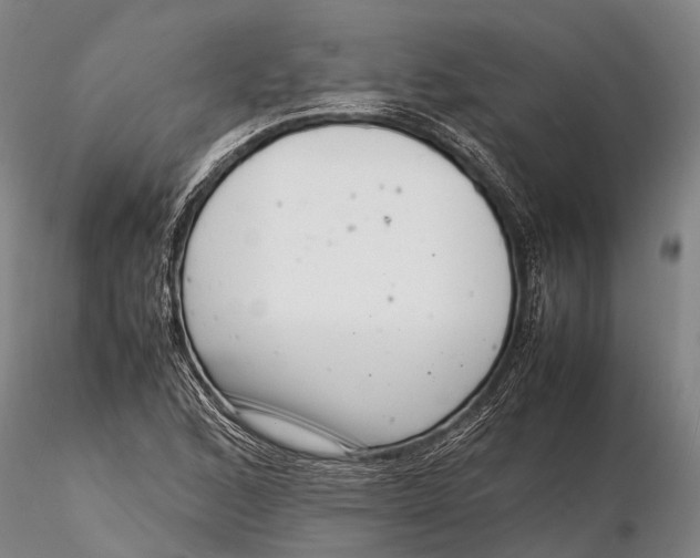 X0000116141168200912141126