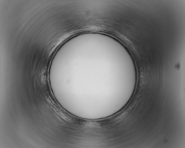 X0000116141170200912141126