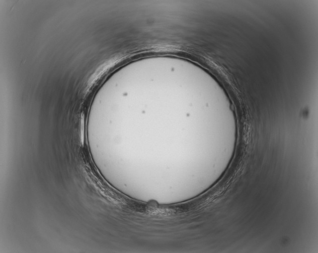 X0000116141171200912141126