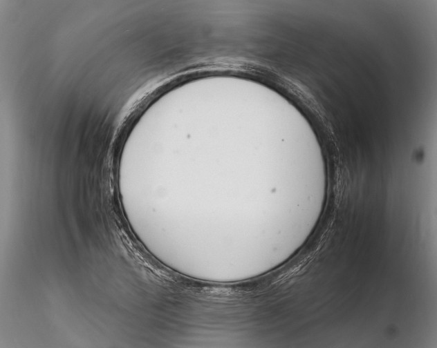 X0000116141172200912141126