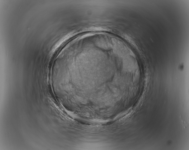 X0000116141173200912141126