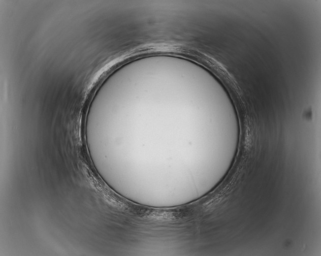 X0000116141174200912141126