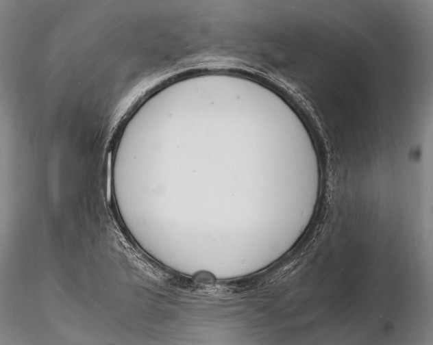 X0000116141175200912141126