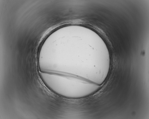 X0000116141176200912141126