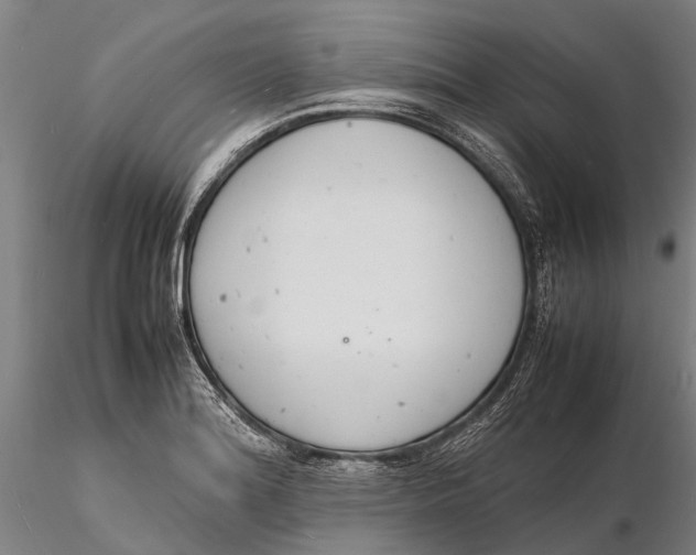 X0000116141180200912141126