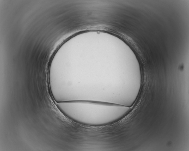 X0000116141184200912141126