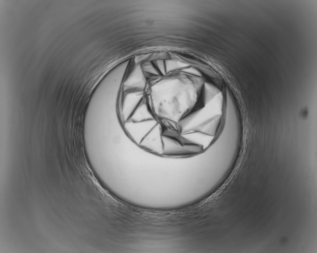 X0000116141185200912141126