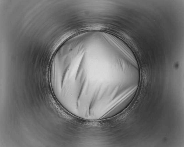 X0000116141186200912141126