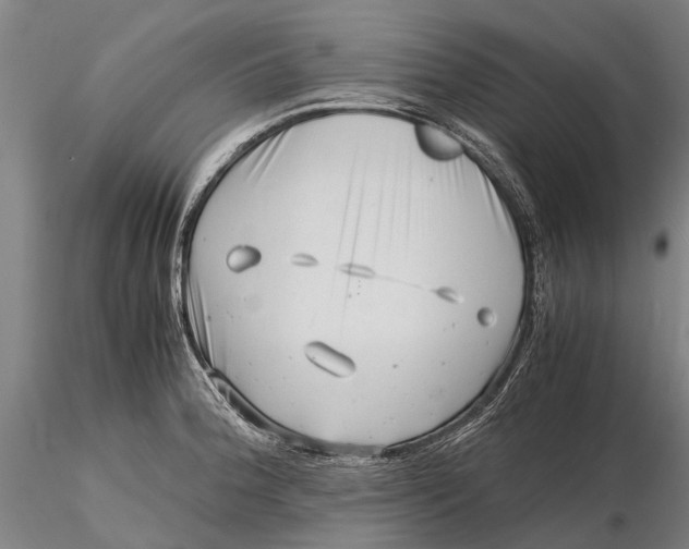 X0000116141188200912141125