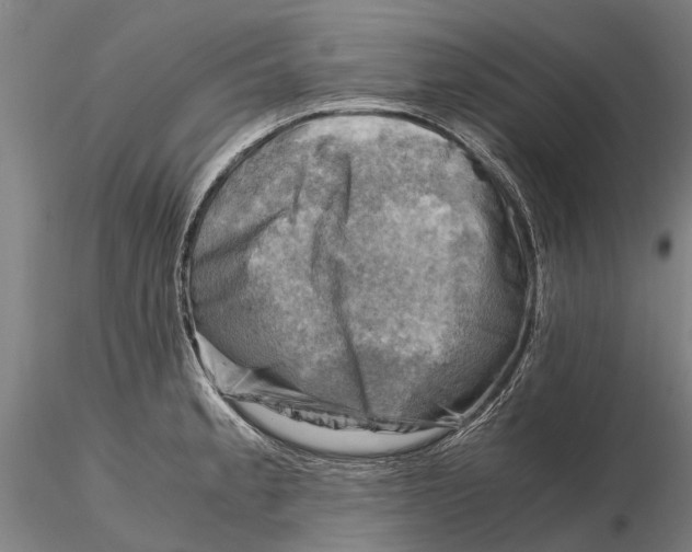 X0000116141189200912141125