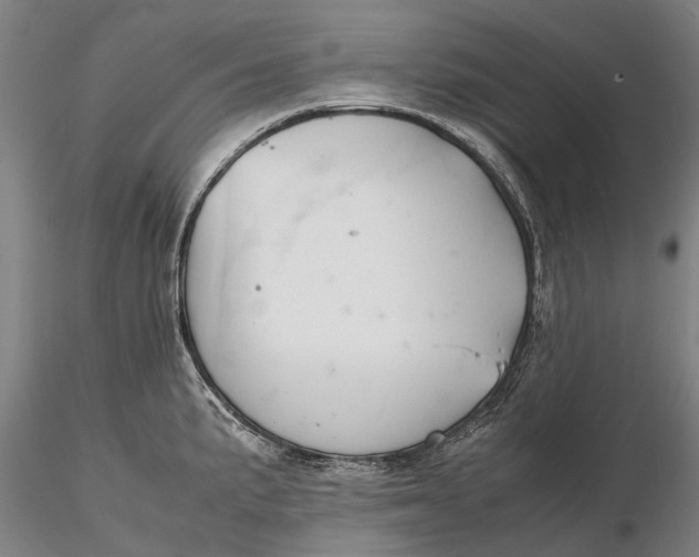 X0000116141191200912141125