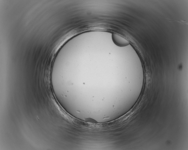 X0000116141194200912141125