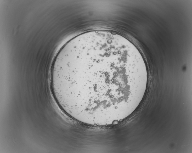 X0000116141195200912141125