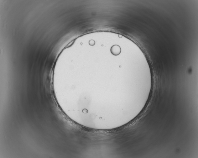 X0000116141198200912141125