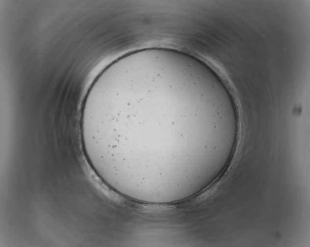 X0000116141200200912141125