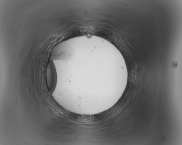 X0000116141201200912141124