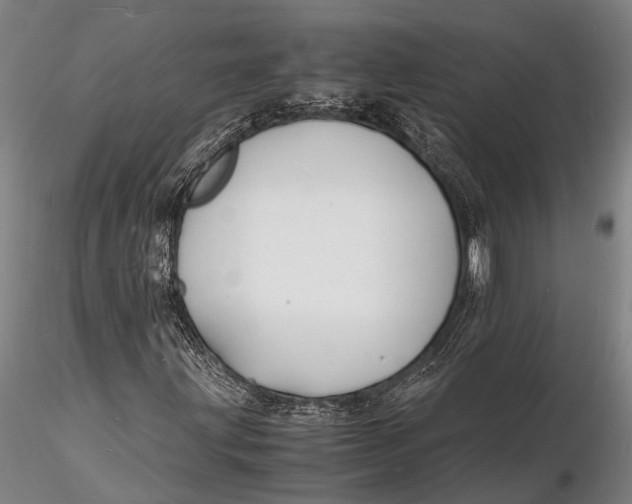 X0000116141203200912141125