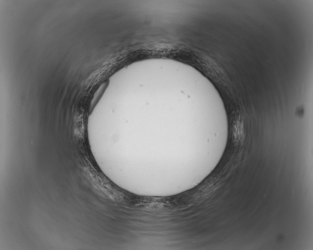 X0000116141204200912141125