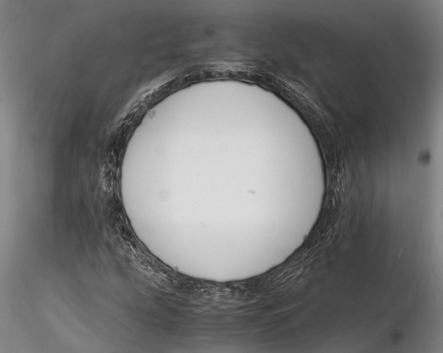 X0000116141207200912141125