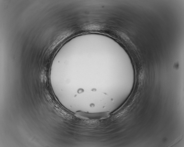 X0000116141209200912141125