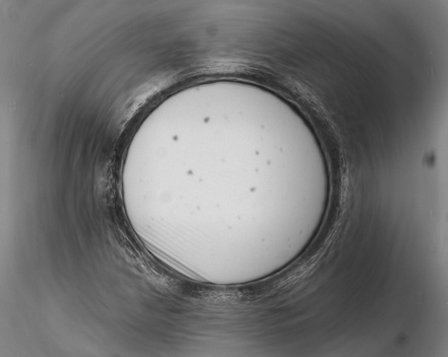 X0000116141210200912141125