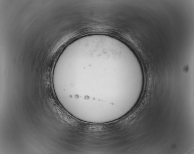 X0000116141211200912141125