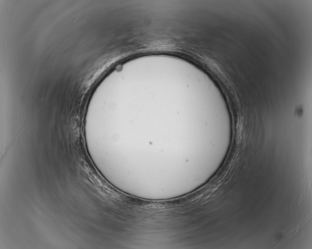 X0000116141212200912141125