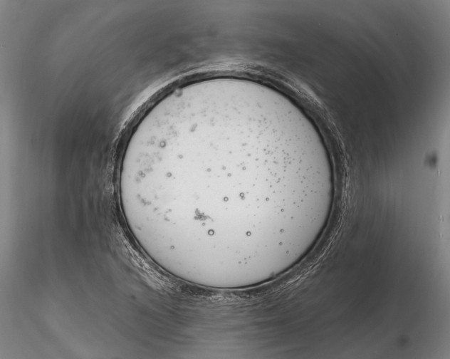 X0000116141216200912141125