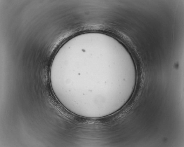 X0000116141218200912141125