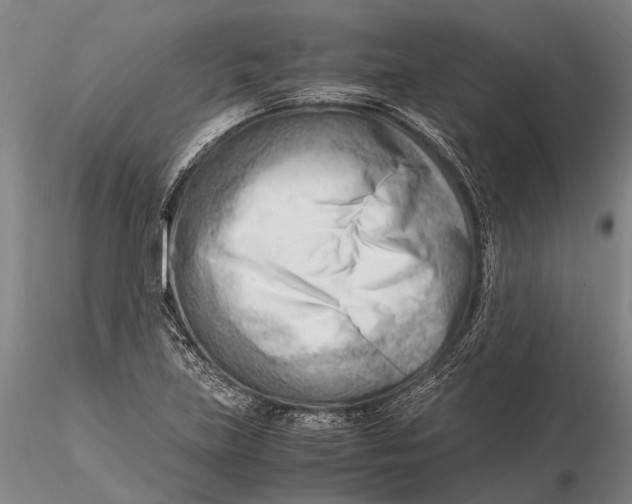 X0000116141219200912141125