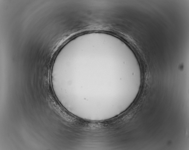 X0000116141220200912141125