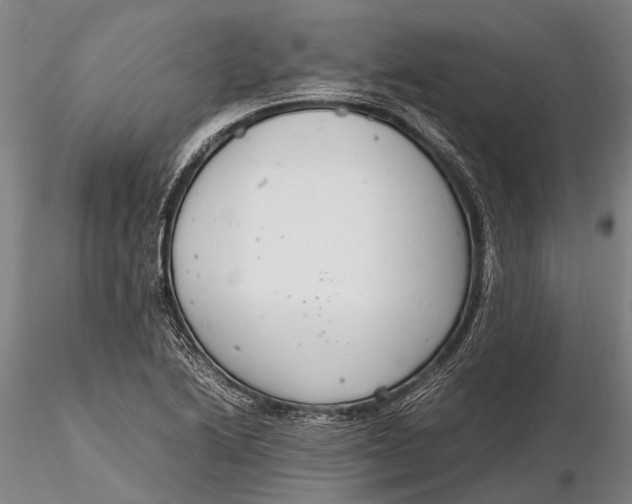 X0000116141222200912141125