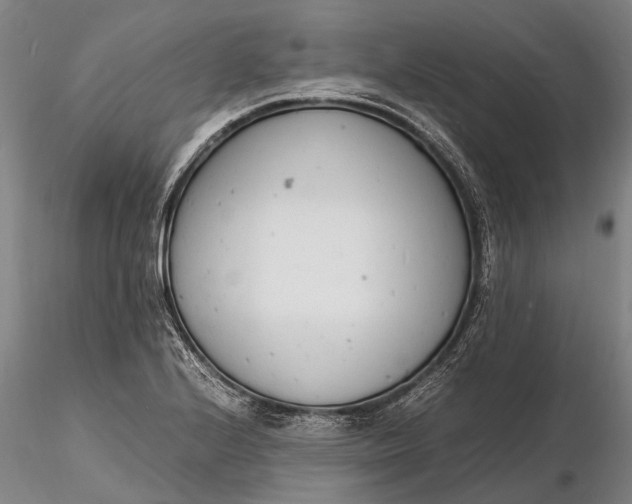 X0000116141224200912141125