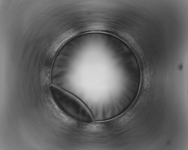 X0000116141225200912141125