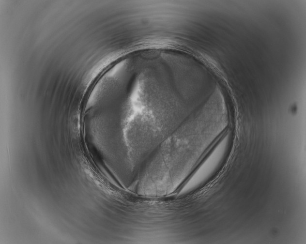 X0000116141226200912141125