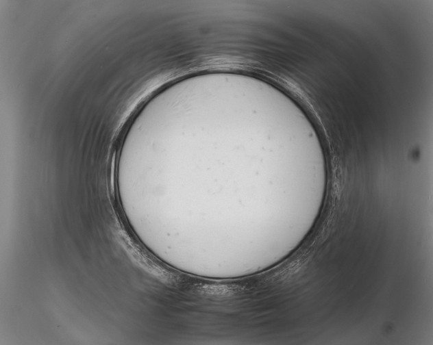 X0000116141227200912141125