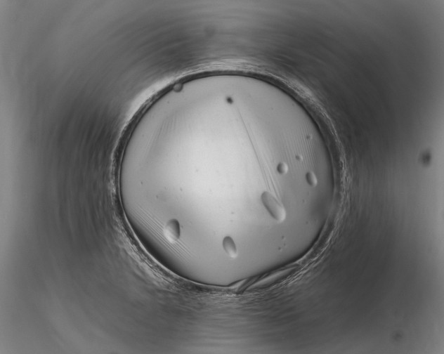 X0000116141230200912141125