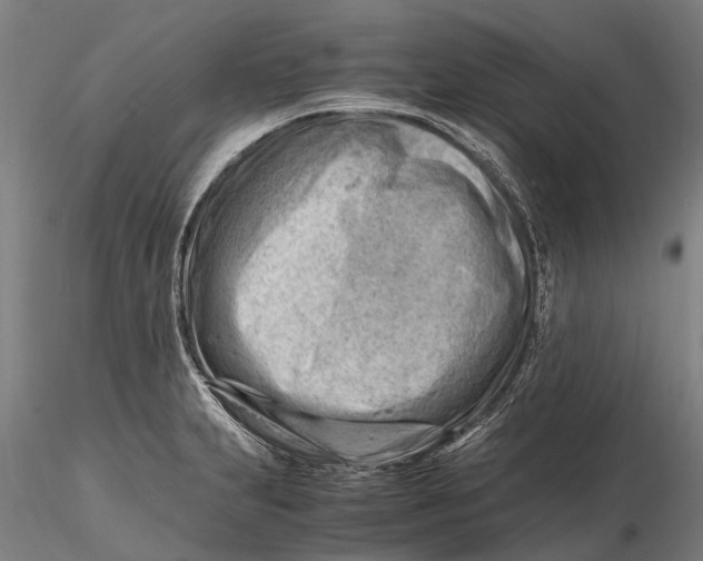 X0000116141231200912141125