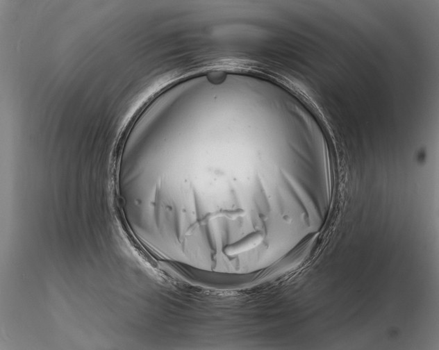 X0000116141235200912141125