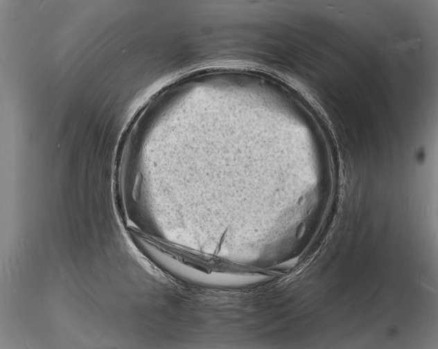 X0000116141237200912141125