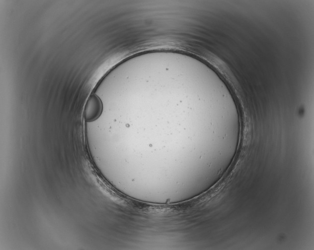 X0000116141242200912141125