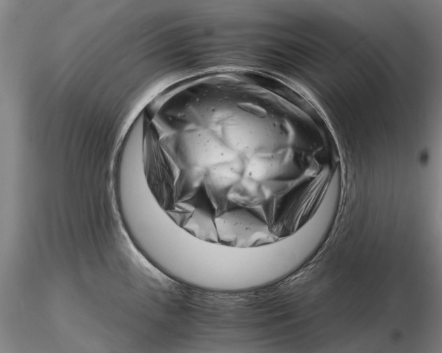 X0000116141243200912141125