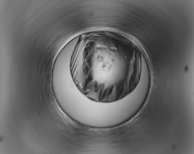 X0000116141244200912141125