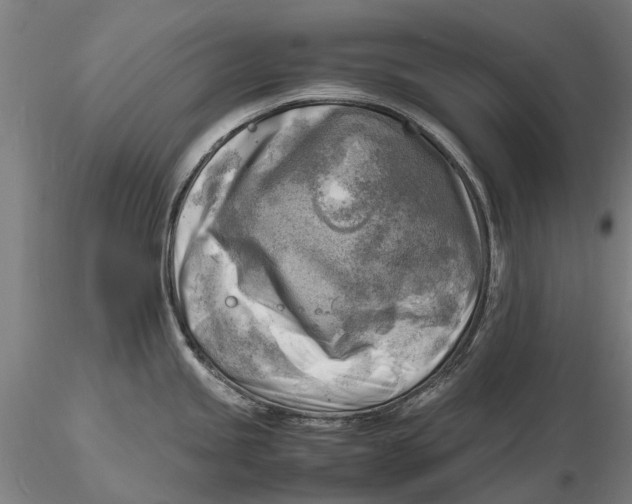 X0000116141245200912141125