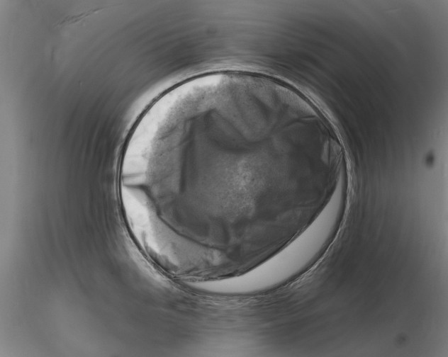 X0000116141246200912141125