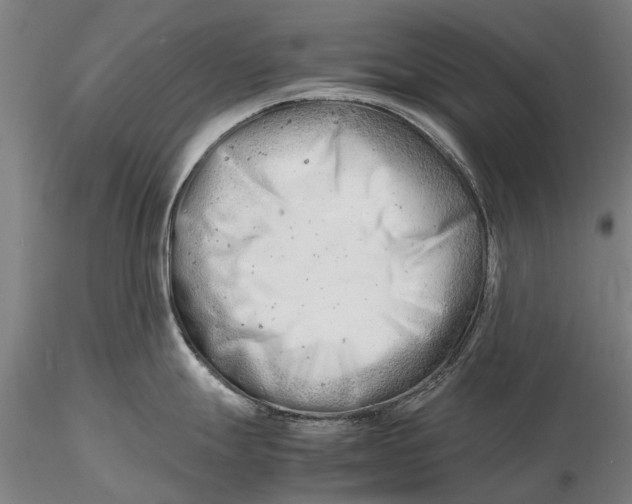 X0000116141247200912141125