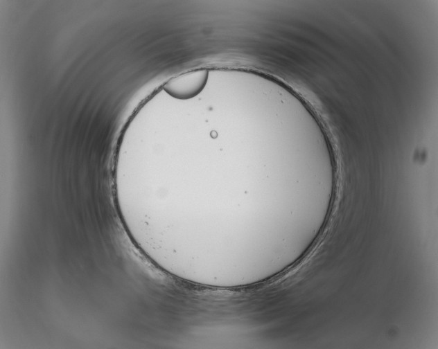 X0000116141248200912141125