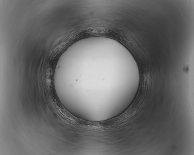 X0000116141250200912141124