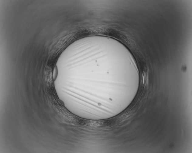 X0000116141251200912141124